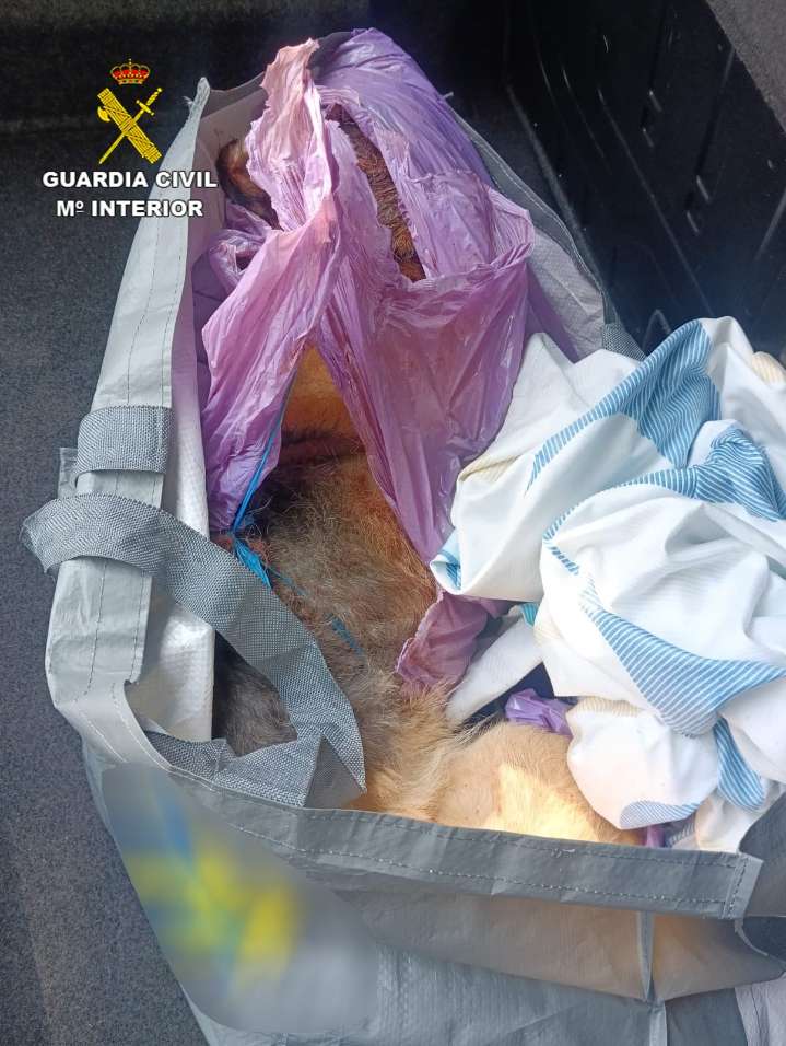 Denunciados dos hombres por matar a palos a un perro