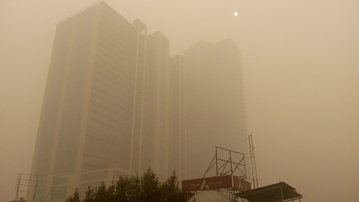 Delhi's 75% Households Hit By Viral Fever Amid Toxic Air, Survey Finds