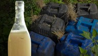 Illicit Liquor Trader Arrested In Cuttack; Rs 13 Lakh Cash, Country Liquor Seized