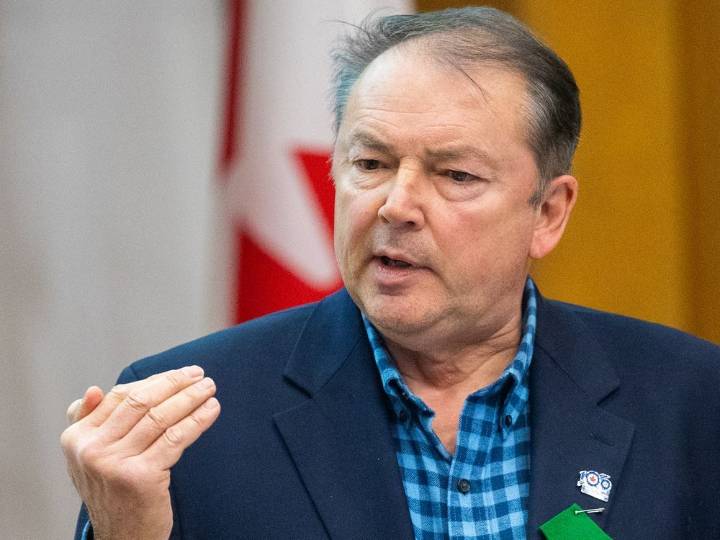 Pet waste, yes, but diapers ruled out for London's green bin system tweak