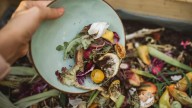 Bogotá tiene una nueva idea para evitar que alimentos próximos a caducar en plazas de mercado se desperdicien