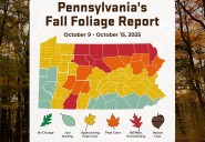 Fall foliage in Pa.: ‘You can expect a big burst of color by the weekend and beyond’
