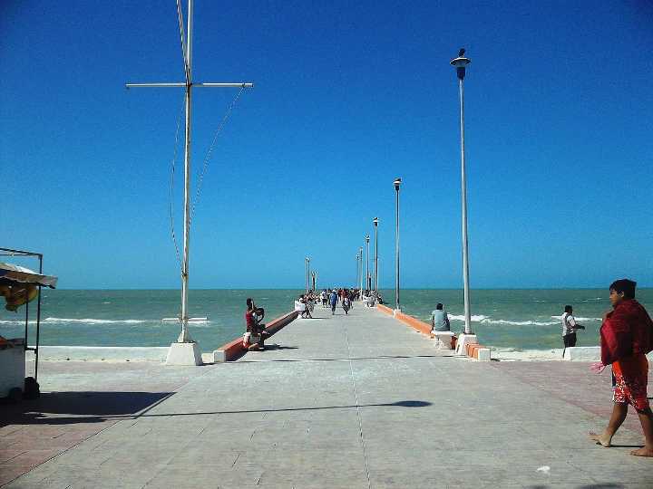 Conapesca decreta cuatro nuevas Zonas de Refugio Pesquero en Yucatán, Colima y Baja California Sur