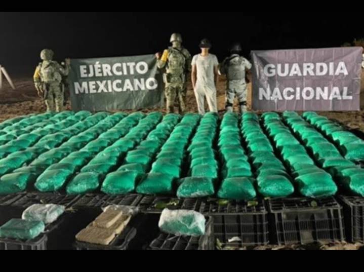Esconden en cajas de chiles, más de una tonelada de droga en Sonora