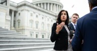 New Lawsuit Seeks to Redraw NYC’s Lone Republican District