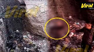 Hallan cuerpos incinerados de perros en torrentera de Cerro Colorado y activistas exigen investigación