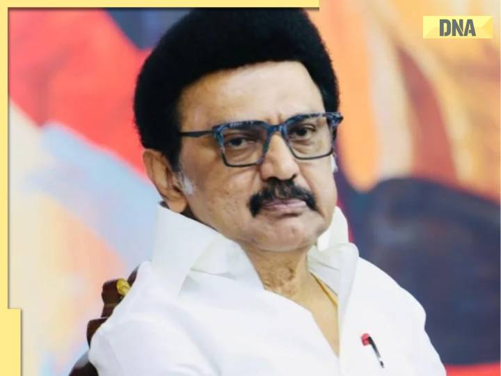 Tamil Nadu to ban Hindi? MK Stalin Govt to table a bill to outlaw Hindi movies,