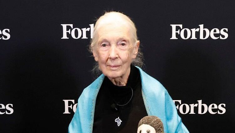Who Is Jane Goodall? 5 Facts About the Advocate, Her Movies & More