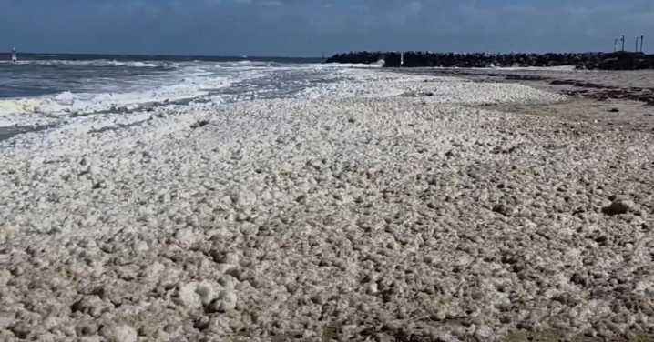 Algal bloom updates: $102.5 million plan to manage algal bloom in the summer