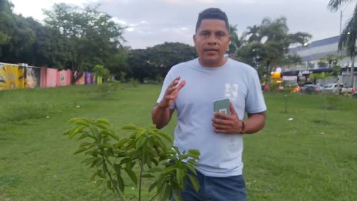 Vecinos de la comuna 3 se oponen a traslado de 70 árboles por la Feria de Cali