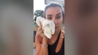 Stranger punches woman in the face in Little Italy