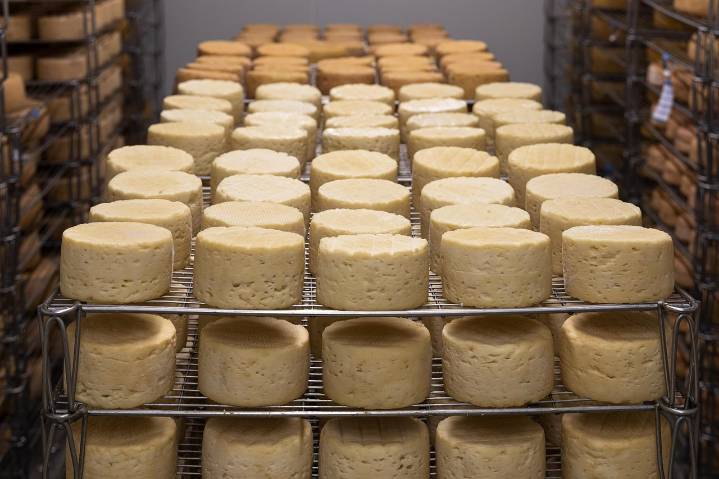 E. Coli Outbreak Linked to Twin Sisters Cheese Prompts Recall and Health Warnings
