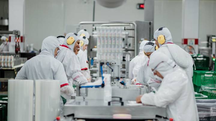 Reforma laboral en Colombia: 5 ajustes esenciales que toda empresa debe implementar ya