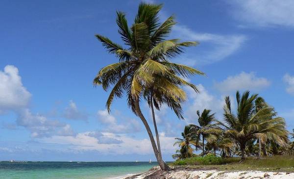 Dónde queda Punta Cana: en qué país queda, mapa de ubicación y cómo es el clima