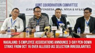 Nagaland: 5 Employee Associations Announce 3-Day Pen-Down Strike From Oct 16 Over Alleged IAS Selection Irregularities