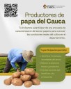 ¡Atención productores de papa del Cauca! Esta es información para ustedes