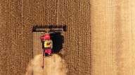 Iowa farmers face losses, given high costs, China's soybean boycott