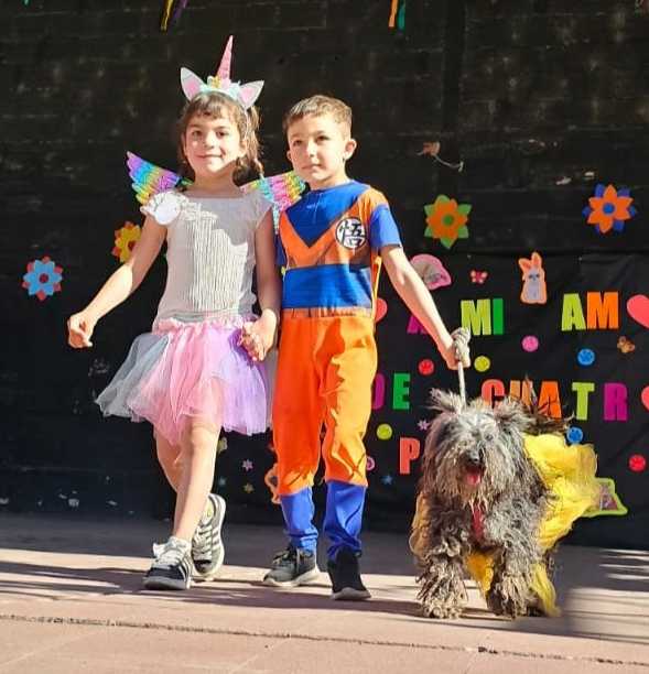 Segundo desfile de disfraces de mascotas