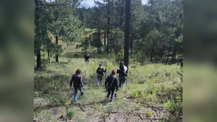 Violencia frena labor de madres buscadoras: casi un año sin entrar a Guadalupe y Calvo
