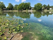 Dam not the cause of low water levels in Waterford Ponds