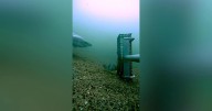 First time ‘elusive’ great white shark filmed off Rhode Island coast