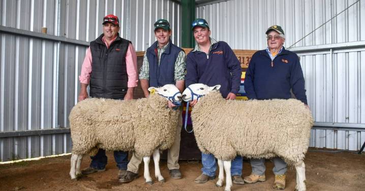 Normanhurst Border Leicester ram sale results, top price and average