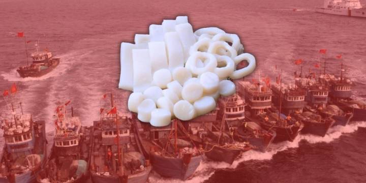 Perú pierde 800 millones de dólares por pesca ilegal de pota de embarcaciones de China, según la Cámara de Comercio de Lima