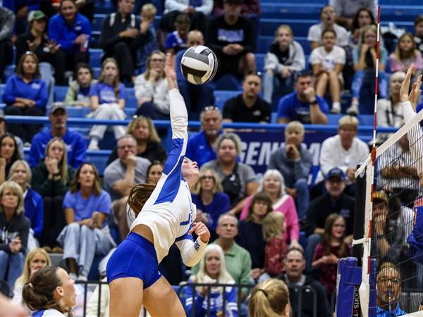 Experienced, versatile Anthony Wayne volleyball team looks to peak in tournament