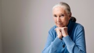 Environmentalists, Politicians, Celebrities Recall Life And Influence Of Primatologist Jane Goodall