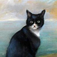 Unsinkable Sam, the world’s luckiest cat?