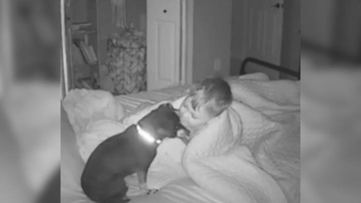 Tennessee Child Wakes Up Beside His Dog And Says Something That Melts Hearts Everywhere