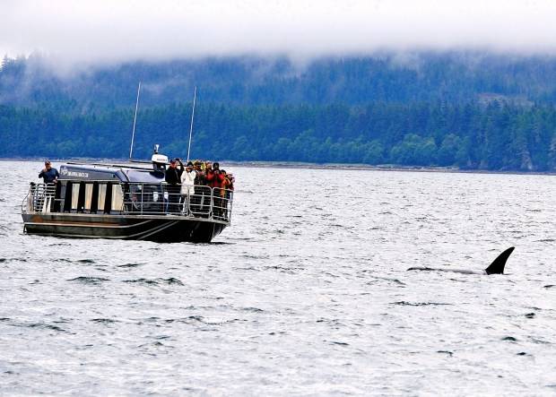 Travel: Missed the boat to Alaska? Time to plan a cruise for 2026