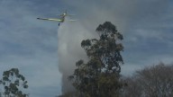 Siete incendios forestales permanecen activos en Jujuy y afectan más de 1200 hectáreas
