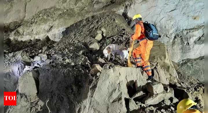 Himachal tragedy: 18 dead as landslide strikes bus in Bilaspur; many missing