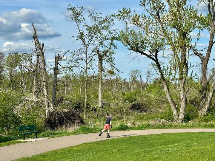 Portage pays $182K to replant 250 more trees after tornado destroyed 48,000
