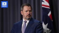 Labor backbencher calls for action to stop countries onselling Australian gas