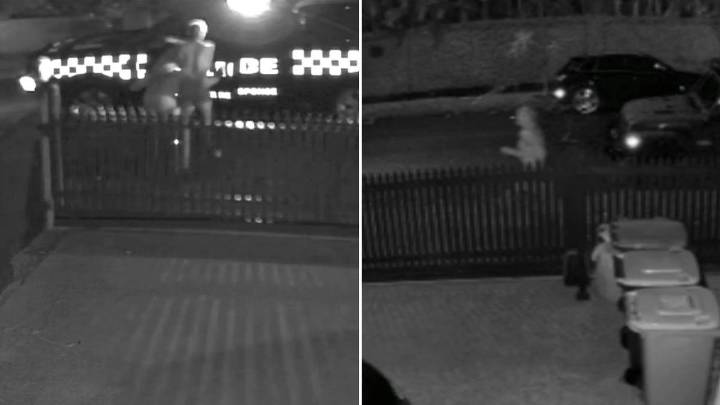 Melbourne dad chases teenage home invaders down Hawthorn street in his underwear