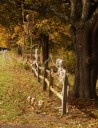 What’s happening in the Mid-Hudson Valley: Oct. 25, 2025