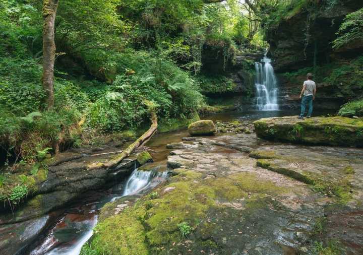 Entre Ríos perdió 58.000 hectáreas de bosques nativos en 15 años: el Gualeguay en alerta