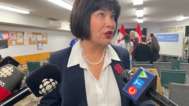 3 New Brunswick programs to get federal money for work on addictions