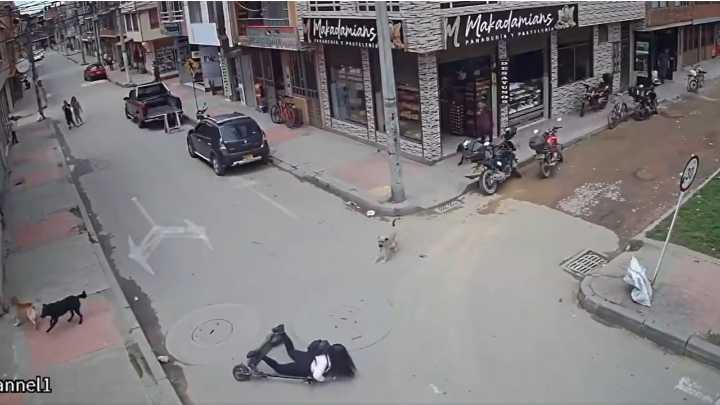 Grupo de perros causó accidente a una joven que se movilizaba en patineta eléctrica: video viral