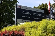 Soup mix recalled in Canada due to 'presence of insects'
