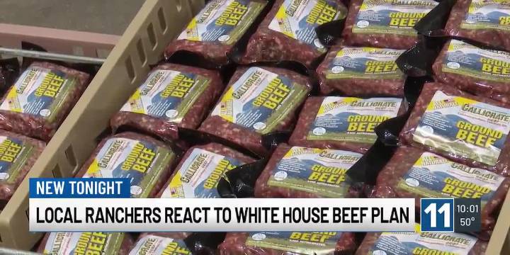 Colorado Springs rancher says importing Argentinean beef could hurt US ranchers