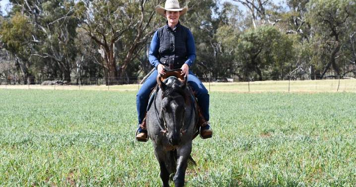 Bec Bell's thriving horse training business in Lake Cargelligo