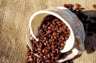 Este jueves disfruta ‘Paisajes del café’ en Morelia