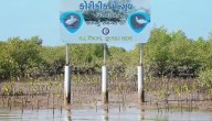 PM Modi Highlights Gujarat’s Environmental Efforts In ‘Mann Ki Baat’