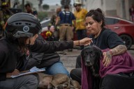 Bomberos rescatan a dos perritos y un hombre tras incendio en un departamento