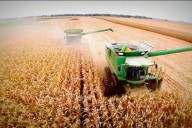 El ingreso de dólares del agro podría desplomarse un 80% hacia fin de año