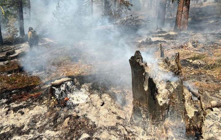 Lower Sugarloaf Fire Nearly Out After 41 Days, Now 90% Contained
