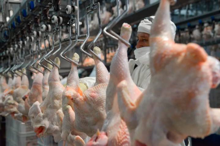 La sobreoferta de pollo hizo desplomar el precio: 2.000 pesos el kilo en supermercados